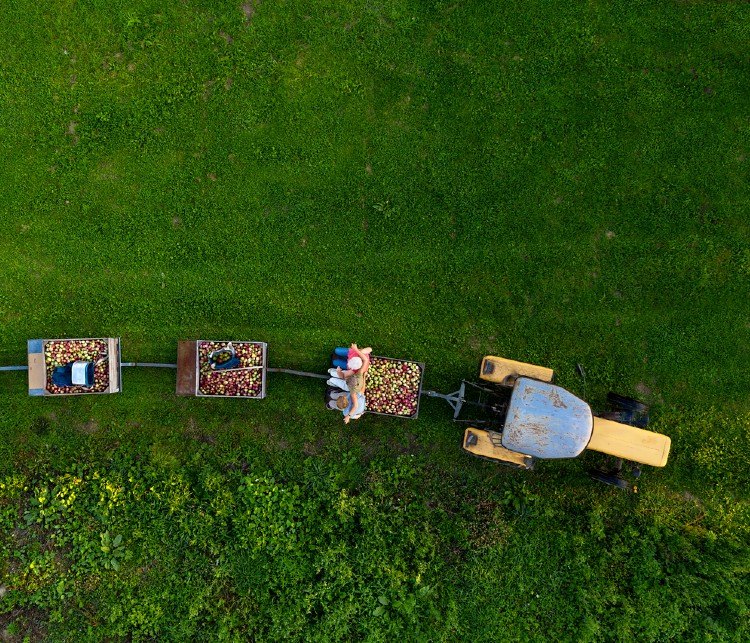 886e240281b09043a370ac401b30191e