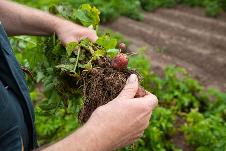 40001百老汇·(电子游戏)集团公司