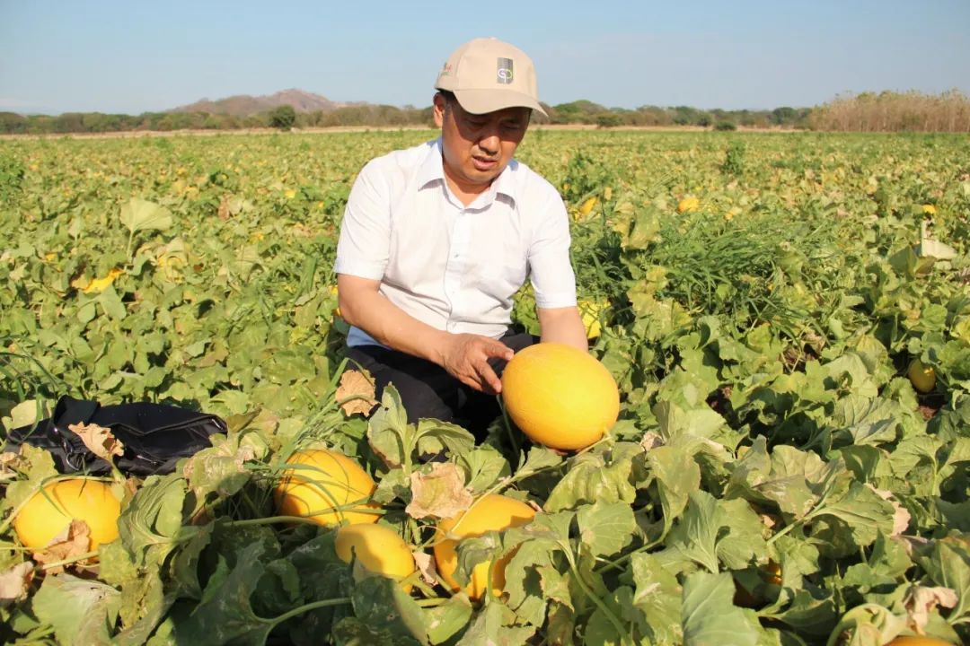 40001百老汇·(电子游戏)集团公司