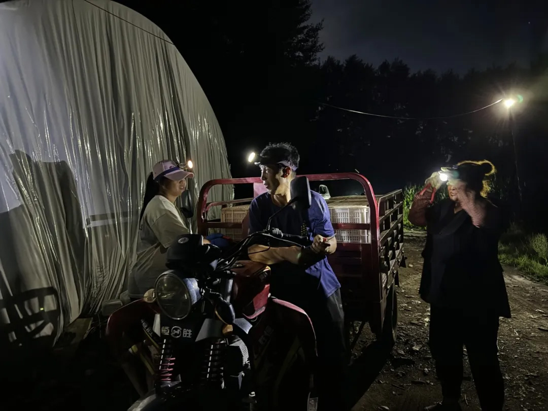 40001百老汇·(电子游戏)集团公司