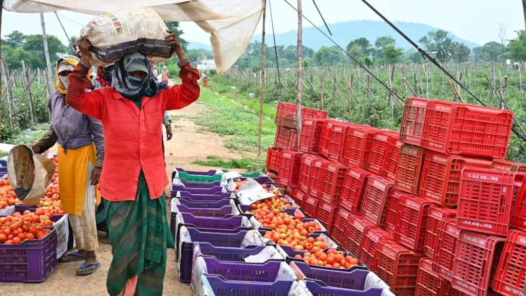 40001百老汇·(电子游戏)集团公司