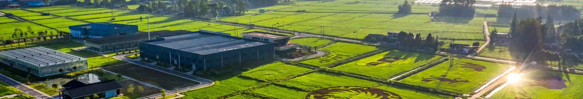 gongsijieshao-banner