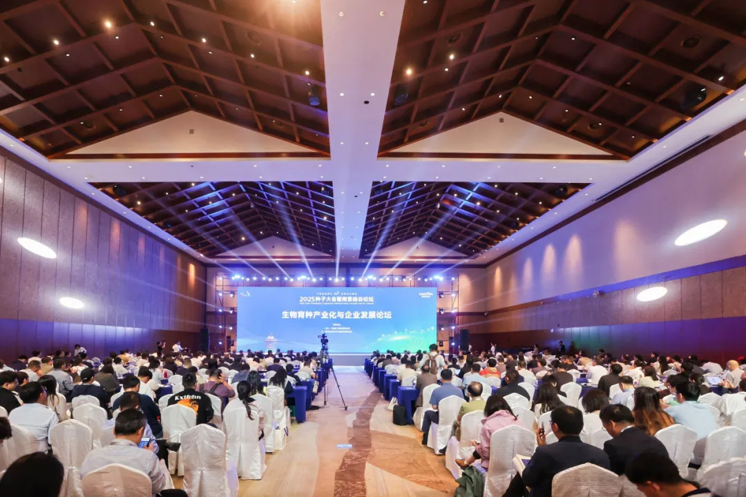 40001百老汇·(电子游戏)集团公司