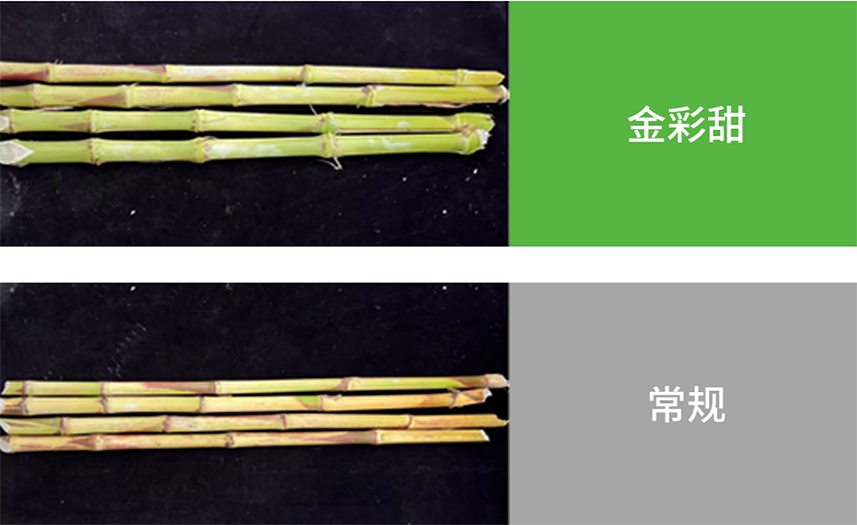 40001百老汇·(电子游戏)集团公司