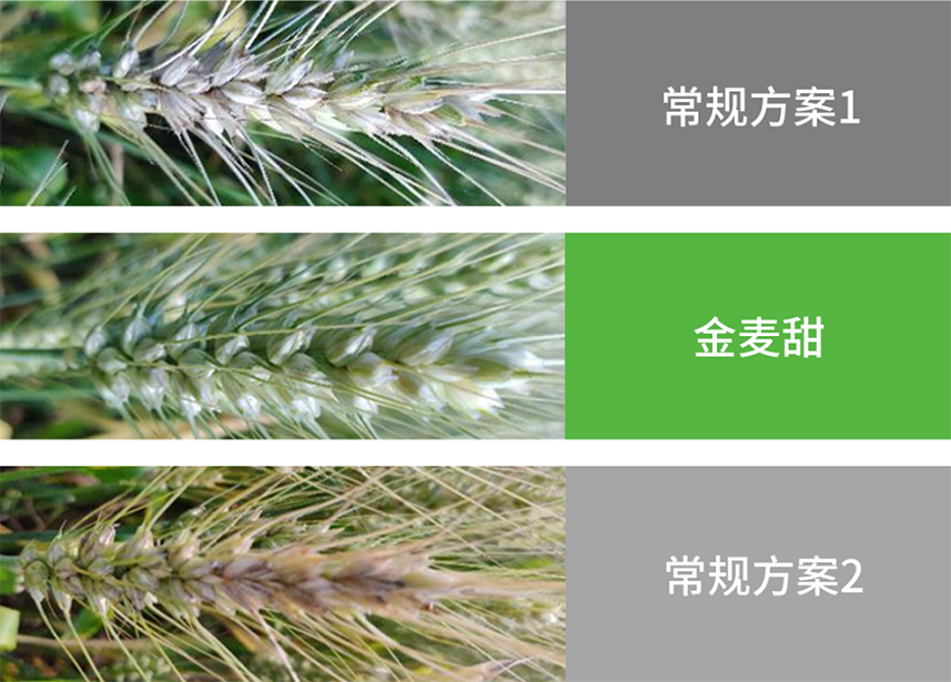 40001百老汇·(电子游戏)集团公司