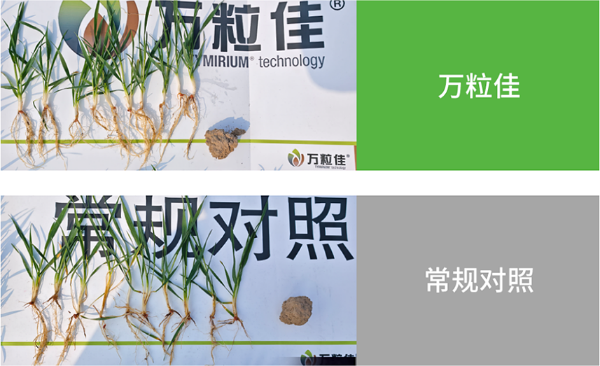 40001百老汇·(电子游戏)集团公司