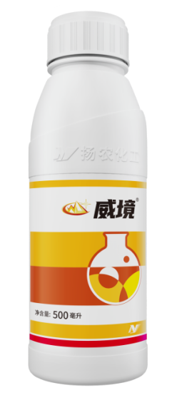 40001百老汇·(电子游戏)集团公司