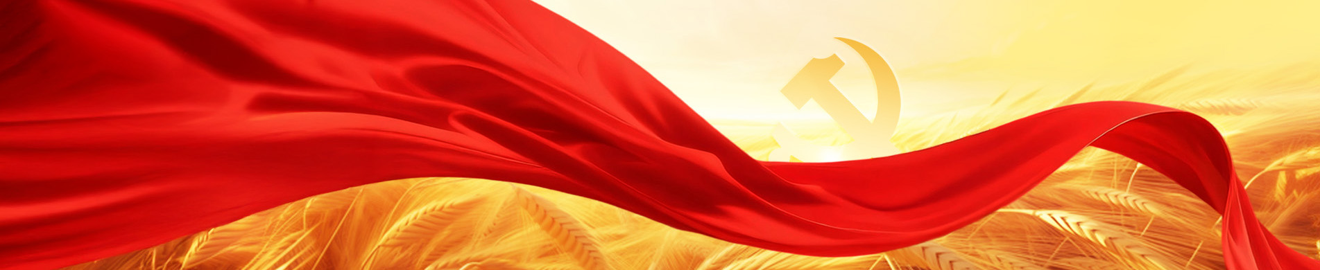 微信图片_20251016091344_158_134