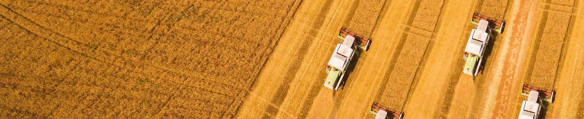 微信图片_20260326151318_690_134