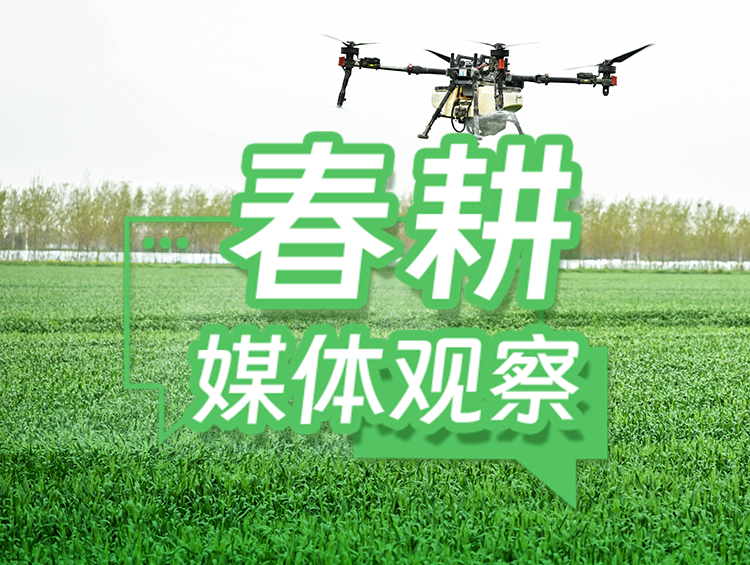 迎“大考”闯“三关”，筑牢幼麦稳产防线