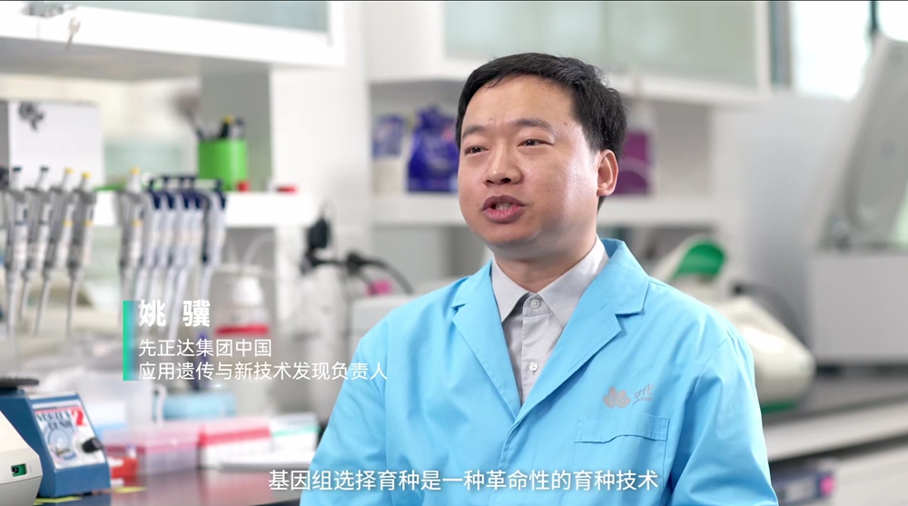 姚博士
