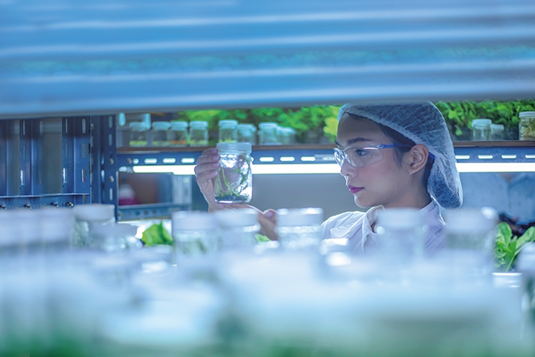 40001百老汇·(电子游戏)集团公司