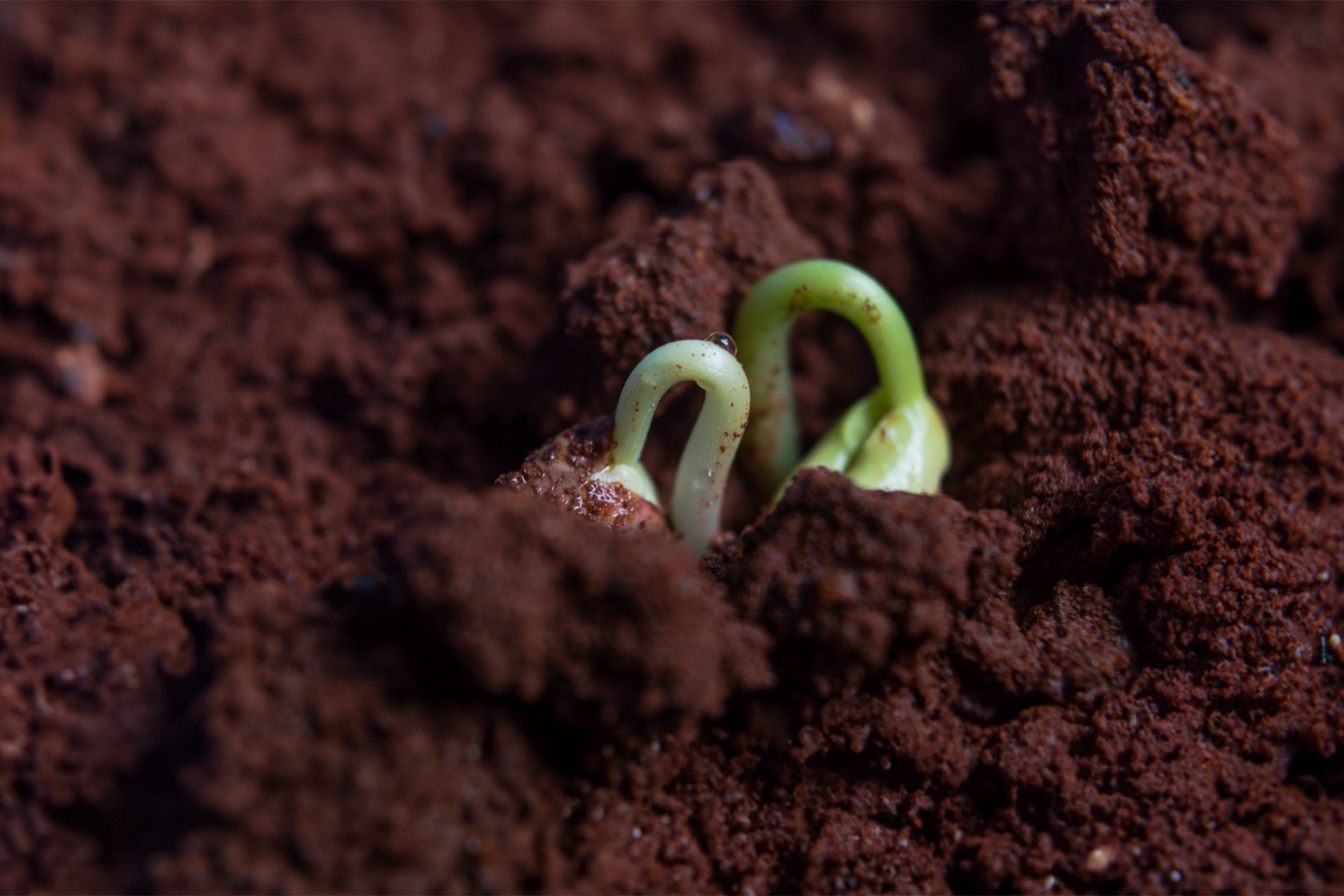 40001百老汇·(电子游戏)集团公司