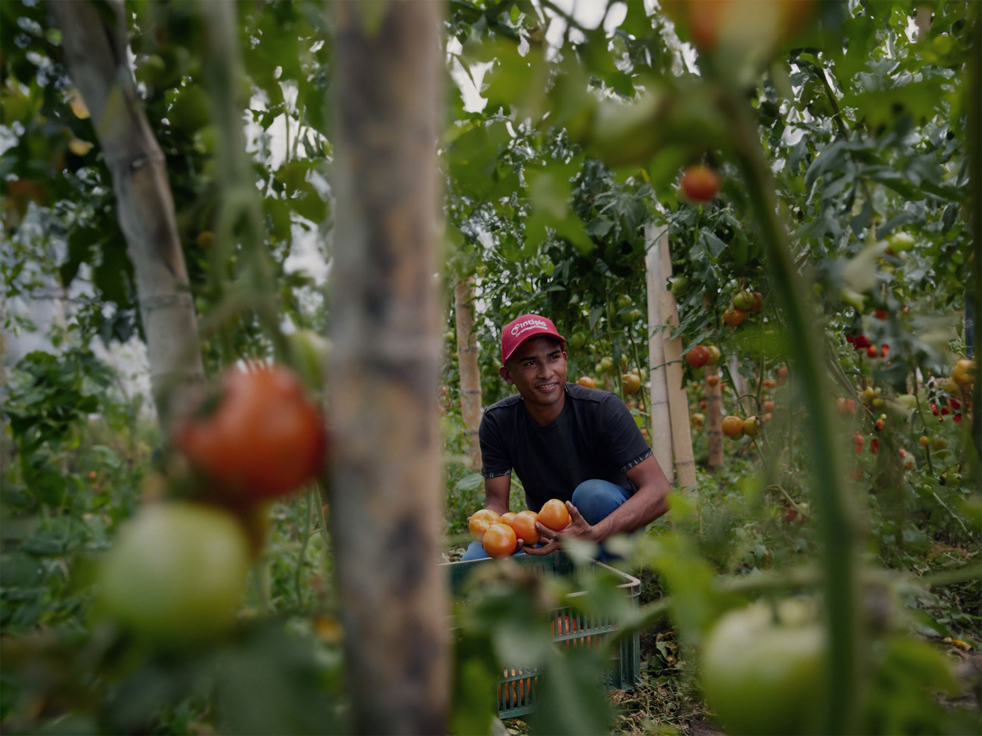 40001百老汇·(电子游戏)集团公司